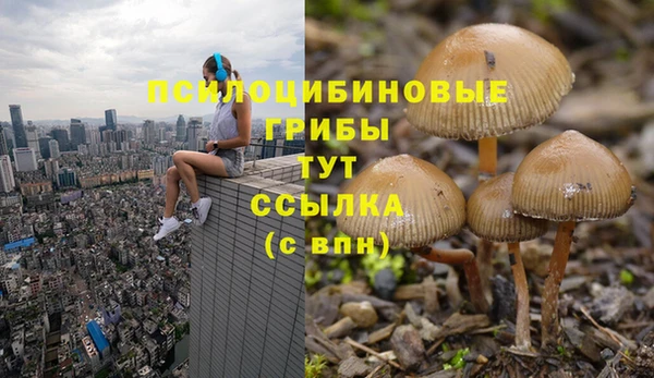 кокс Балабаново