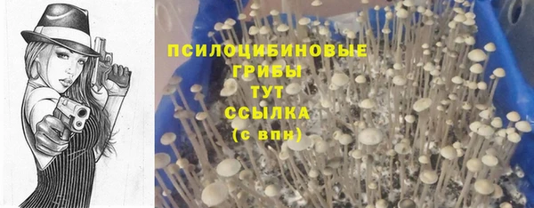 хмурый Баксан